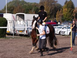 IMG_7133_web